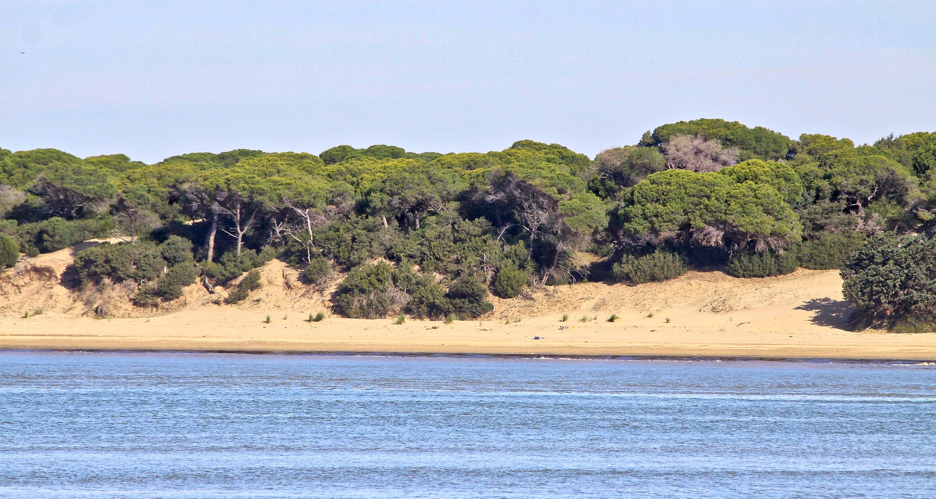 Coto de Doñana - Humerales