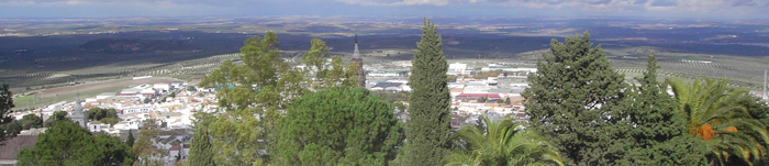 Vista de Estepa