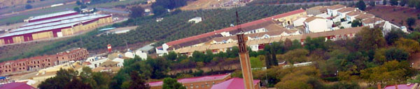 Vista de Pilas