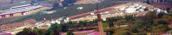 vista panormica